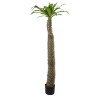 GloboStar® Artificial Garden PACHYPODIUM LAMEREI PALM TREE 20130 Τεχνητό Διακοσμητικό Φυτό Φοίνικας της Μαγαδασκάρης Υ175cm