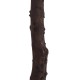 GloboStar® Artificial Garden BIANCA CHERRY BLOSSOM TREE 20141 Τεχνητό Διακοσμητικό Δέντρο Λευκή Κερασιά Υ160cm GloboStar® Artificial Garden BIANCA CHERRY BLOSSOM TREE 20141 Τεχνητό Διακοσμητικό Δέντρο Λευκή Κερασιά Υ160cm