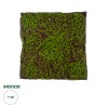 GloboStar® Artificial Garden BRYOPHYTA 20143 Τεχνητό Διακοσμητικό Πάνελ Φυλλωσιάς - Κάθετος Κήπος Βρύα Μ100 x Π100 x Υ5cm