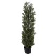 GloboStar® Artificial Garden LEMON CYPRESS 20152 Τεχνητό Διακοσμητικό Φυτό Λεμονόκυπάρισσο Υ150cm GloboStar® Artificial Garden LEMON CYPRESS 20152 Τεχνητό Διακοσμητικό Φυτό Λεμονόκυπάρισσο Υ150cm