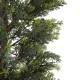 GloboStar® Artificial Garden LEMON CYPRESS 20152 Τεχνητό Διακοσμητικό Φυτό Λεμονόκυπάρισσο Υ150cm GloboStar® Artificial Garden LEMON CYPRESS 20152 Τεχνητό Διακοσμητικό Φυτό Λεμονόκυπάρισσο Υ150cm