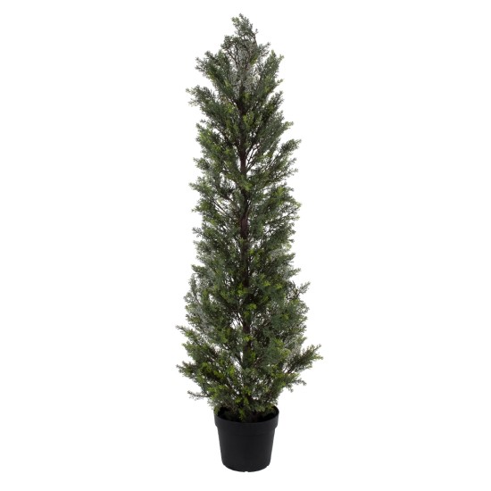 GloboStar® Artificial Garden LEMON CYPRESS 20153 Τεχνητό Διακοσμητικό Φυτό Λεμονόκυπάρισσο Υ180cm GloboStar® Artificial Garden LEMON CYPRESS 20153 Τεχνητό Διακοσμητικό Φυτό Λεμονόκυπάρισσο Υ180cm