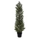 GloboStar® Artificial Garden LEMON CYPRESS 20153 Τεχνητό Διακοσμητικό Φυτό Λεμονόκυπάρισσο Υ180cm GloboStar® Artificial Garden LEMON CYPRESS 20153 Τεχνητό Διακοσμητικό Φυτό Λεμονόκυπάρισσο Υ180cm