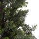 GloboStar® Artificial Garden LEMON CYPRESS 20153 Τεχνητό Διακοσμητικό Φυτό Λεμονόκυπάρισσο Υ180cm GloboStar® Artificial Garden LEMON CYPRESS 20153 Τεχνητό Διακοσμητικό Φυτό Λεμονόκυπάρισσο Υ180cm