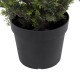 GloboStar® Artificial Garden LEMON CYPRESS 20153 Τεχνητό Διακοσμητικό Φυτό Λεμονόκυπάρισσο Υ180cm GloboStar® Artificial Garden LEMON CYPRESS 20153 Τεχνητό Διακοσμητικό Φυτό Λεμονόκυπάρισσο Υ180cm