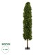 GloboStar® Artificial Garden BUXUS 20157 Τεχνητό Διακοσμητικό Φυτό Πυξός Υ180cm GloboStar® Artificial Garden BUXUS 20157 Τεχνητό Διακοσμητικό Φυτό Πυξός Υ180cm