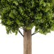 GloboStar® Artificial Garden BUXUS 20157 Τεχνητό Διακοσμητικό Φυτό Πυξός Υ180cm GloboStar® Artificial Garden BUXUS 20157 Τεχνητό Διακοσμητικό Φυτό Πυξός Υ180cm