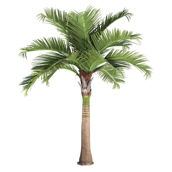 GloboStar® Artificial Garden COCONUT PALM TREE 20169 Τεχνητό Διακοσμητικό Φυτό Φοινικόδεντρο Κοκοφοίνικας Εξωτερικού Χώρου IP68 UV Certified Protection Υ400cm GloboStar® Artificial Garden COCONUT PALM TREE 20169 Τεχνητό Διακοσμητικό Φυτό Φοινικόδεντρο Κοκοφοίνικας Εξωτερικού Χώρου IP68 UV Certified Protection Υ400cm
