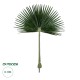 GloboStar® Artificial Garden WASHINGTONIA FILIFERA PALM LEAF 20170 Τεχνητό Διακοσμητικό Φύλο Φοινικόδεντρου Βεντάλια Π135 x Υ180cm GloboStar® Artificial Garden WASHINGTONIA FILIFERA PALM LEAF 20170 Τεχνητό Διακοσμητικό Φύλο Φοινικόδεντρου Βεντάλια Π135 x Υ180cm