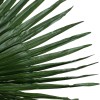 GloboStar® Artificial Garden WASHINGTONIA FILIFERA PALM LEAF 20170 Τεχνητό Διακοσμητικό Φύλο Φοινικόδεντρου Βεντάλια Π135 x Υ180cm