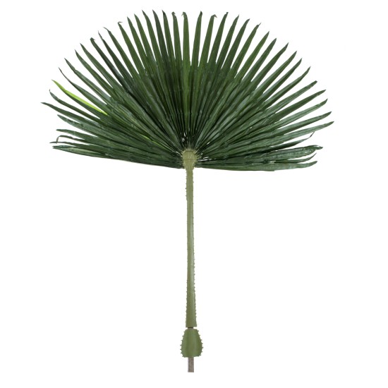 GloboStar® Artificial Garden WASHINGTONIA FILIFERA PALM LEAF 20171 Τεχνητό Διακοσμητικό Φύλο Φοινικόδεντρου Βεντάλια Π170 x Υ200cm GloboStar® Artificial Garden WASHINGTONIA FILIFERA PALM LEAF 20171 Τεχνητό Διακοσμητικό Φύλο Φοινικόδεντρου Βεντάλια Π170 x Υ200cm