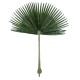 GloboStar® Artificial Garden WASHINGTONIA FILIFERA PALM LEAF 20171 Τεχνητό Διακοσμητικό Φύλο Φοινικόδεντρου Βεντάλια Π170 x Υ200cm GloboStar® Artificial Garden WASHINGTONIA FILIFERA PALM LEAF 20171 Τεχνητό Διακοσμητικό Φύλο Φοινικόδεντρου Βεντάλια Π170 x Υ200cm