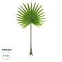 GloboStar® Artificial Garden SERENOA PALM LEAF 20172 Τεχνητό Διακοσμητικό Φύλο Φοινικόδεντρου Σερενόα Βεντάλια Π77 x Υ140cm