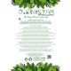 GloboStar® Artificial Garden SERENOA PALM LEAF 20174 Τεχνητό Διακοσμητικό Φύλο Φοινικόδεντρου Σερενόα Βεντάλια Π90 x Υ170cm