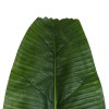 GloboStar® Artificial Garden BANANA TREE LEAF 20177 - Τεχνητό Διακοσμητικό Φύλο Μπανανιάς - Μπανανόδεντρου Π30 x Υ100cm