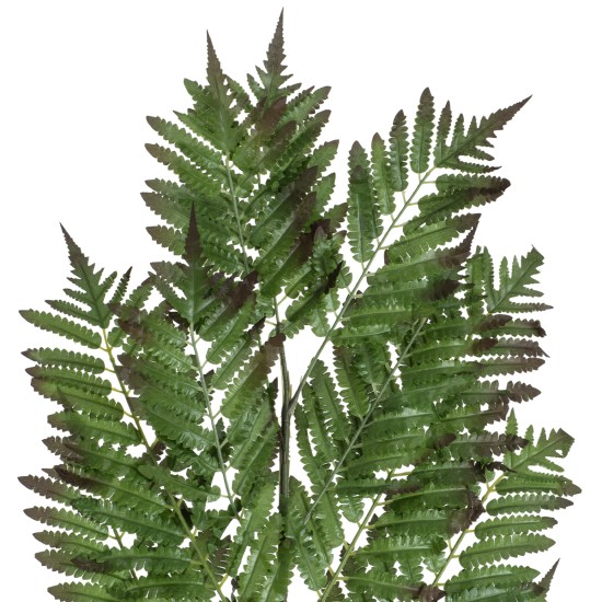 GloboStar® Artificial Garden ALSOPHILA FERN LEAF 20178 Τεχνητό Διακοσμητικό Φύλο Φτέρης Π60 x Υ180cm GloboStar® Artificial Garden ALSOPHILA FERN LEAF 20178 Τεχνητό Διακοσμητικό Φύλο Φτέρης Π60 x Υ180cm