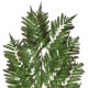 GloboStar® Artificial Garden ALSOPHILA FERN LEAF 20178 Τεχνητό Διακοσμητικό Φύλο Φτέρης Π60 x Υ180cm GloboStar® Artificial Garden ALSOPHILA FERN LEAF 20178 Τεχνητό Διακοσμητικό Φύλο Φτέρης Π60 x Υ180cm
