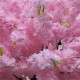 GloboStar® Artificial Garden CHERRY BLOSSOM TREE 20184 Τεχνητό Διακοσμητικό Δέντρο Βουκαμβίλια Άνθος Κερασιάς Υ320cm GloboStar® Artificial Garden CHERRY BLOSSOM TREE 20184 Τεχνητό Διακοσμητικό Δέντρο Βουκαμβίλια Άνθος Κερασιάς Υ320cm