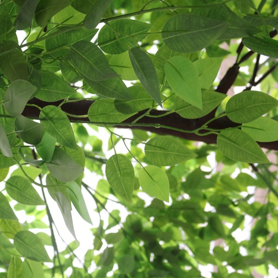 GloboStar® Artificial Garden BANYAN FICUS TREE 20186 Τεχνητό Διακοσμητικό Δέντρο Ινδική Συκιά Φίκος Υ320cm GloboStar® Artificial Garden BANYAN FICUS TREE 20186 Τεχνητό Διακοσμητικό Δέντρο Ινδική Συκιά Φίκος Υ320cm