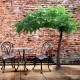 GloboStar® Artificial Garden BANYAN FICUS TREE 20186 Τεχνητό Διακοσμητικό Δέντρο Ινδική Συκιά Φίκος Υ320cm GloboStar® Artificial Garden BANYAN FICUS TREE 20186 Τεχνητό Διακοσμητικό Δέντρο Ινδική Συκιά Φίκος Υ320cm