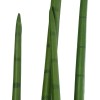 GloboStar® Artificial Garden SANSEVIERIA CYLINDRICA 20210 Τεχνητό Διακοσμητικό Φυτό Σανσεβιέρια Υ120cm