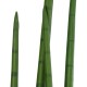 GloboStar® Artificial Garden SANSEVIERIA CYLINDRICA 20211 Τεχνητό Διακοσμητικό Φυτό Σανσεβιέρια Υ160cm