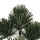 GloboStar® Artificial Garden PINUS MASSONIANA BRANCH 20219 Τεχνητό Διακοσμητικό Κλαδί Πεύκου Π50 x Υ70cm GloboStar® Artificial Garden PINUS MASSONIANA BRANCH 20219 Τεχνητό Διακοσμητικό Κλαδί Πεύκου Π50 x Υ70cm