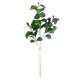 GloboStar® Artificial Garden LAURUS NOBILIS BRANCH 20224 Τεχνητό Διακοσμητικό Κλαδί Δάφνης Π35 x Υ70cm GloboStar® Artificial Garden LAURUS NOBILIS BRANCH 20224 Τεχνητό Διακοσμητικό Κλαδί Δάφνης Π35 x Υ70cm
