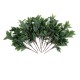 GloboStar® Artificial Garden LAURUS NOBILIS BRANCH 20225 10 x Τεχνητά Διακοσμητικά Κλαδία Δάφνης Π45 x Υ60cm GloboStar® Artificial Garden LAURUS NOBILIS BRANCH 20225 10 x Τεχνητά Διακοσμητικά Κλαδία Δάφνης Π45 x Υ60cm