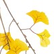 GloboStar® Artificial Garden GINKGO BRANCH 20229 10 x Τεχνητά Διακοσμητικά Κλαδία Γκίγκο Π50 x Υ65cm GloboStar® Artificial Garden GINKGO BRANCH 20229 10 x Τεχνητά Διακοσμητικά Κλαδία Γκίγκο Π50 x Υ65cm