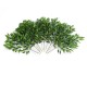GloboStar® Artificial Garden LAUREL BRANCH 20231 10 x Τεχνητά Διακοσμητικά Κλαδία Δάφνης Π50 x Υ65cm GloboStar® Artificial Garden LAUREL BRANCH 20231 10 x Τεχνητά Διακοσμητικά Κλαδία Δάφνης Π50 x Υ65cm
