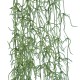 GloboStar® Artificial Garden TILLANDSIA HANGING BRANCH 20236 Τεχνητό Διακοσμητικό Κρεμαστό Φυτό Ισπανικό Βρύο Τιλάντσια Υ120cm GloboStar® Artificial Garden TILLANDSIA HANGING BRANCH 20236 Τεχνητό Διακοσμητικό Κρεμαστό Φυτό Ισπανικό Βρύο Τιλάντσια Υ120cm