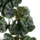 GloboStar® Artificial Garden BEGONIA HANGING BRANCH 20245 Τεχνητό Διακοσμητικό Κρεμαστό Φυτό Βεγονία Υ120cm GloboStar® Artificial Garden BEGONIA HANGING BRANCH 20245 Τεχνητό Διακοσμητικό Κρεμαστό Φυτό Βεγονία Υ120cm