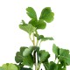 GloboStar® Artificial Garden GINKGO BRANCH 20259 Τεχνητό Διακοσμητικό Κλαδί Γκίγκο Π22 x Υ80cm GloboStar® Artificial Garden GINKGO BRANCH 20259 Τεχνητό Διακοσμητικό Κλαδί Γκίγκο Π22 x Υ80cm