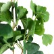 GloboStar® Artificial Garden GINKGO BRANCH 20259 Τεχνητό Διακοσμητικό Κλαδί Γκίγκο Π22 x Υ80cm GloboStar® Artificial Garden GINKGO BRANCH 20259 Τεχνητό Διακοσμητικό Κλαδί Γκίγκο Π22 x Υ80cm