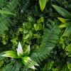GloboStar® Artificial Garden JUNGLE FERN 20351 Τεχνητό Διακοσμητικό Πάνελ Φυλλωσιάς - Κάθετος Κήπος σύνθεση Ζούγκλα Φτέρης Μ100 x Π100 x Υ20cm