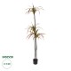 GloboStar® Artificial Garden DRAGON BLOOD TREE 20371 - Τεχνητό Διακοσμητικό Φυτό Δράκαινα Υ220cm