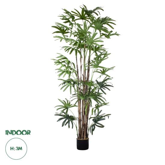 GloboStar® Artificial Garden BROADLEAF LADY PALM TREE 20384 Τεχνητό Διακοσμητικό Φυτό Πλατύφυλλος Φοίνικας Μπαμπού Υ300cm GloboStar® Artificial Garden BROADLEAF LADY PALM TREE 20384 Τεχνητό Διακοσμητικό Φυτό Πλατύφυλλος Φοίνικας Μπαμπού Υ300cm