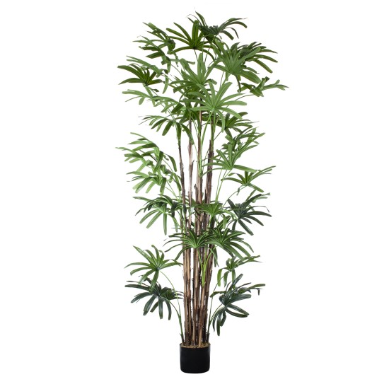 GloboStar® Artificial Garden BROADLEAF LADY PALM TREE 20384 Τεχνητό Διακοσμητικό Φυτό Πλατύφυλλος Φοίνικας Μπαμπού Υ300cm GloboStar® Artificial Garden BROADLEAF LADY PALM TREE 20384 Τεχνητό Διακοσμητικό Φυτό Πλατύφυλλος Φοίνικας Μπαμπού Υ300cm