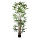 GloboStar® Artificial Garden BROADLEAF LADY PALM TREE 20384 Τεχνητό Διακοσμητικό Φυτό Πλατύφυλλος Φοίνικας Μπαμπού Υ300cm GloboStar® Artificial Garden BROADLEAF LADY PALM TREE 20384 Τεχνητό Διακοσμητικό Φυτό Πλατύφυλλος Φοίνικας Μπαμπού Υ300cm