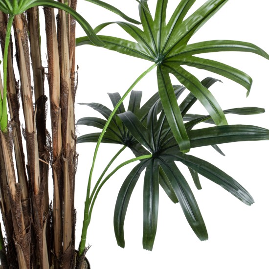 GloboStar® Artificial Garden BROADLEAF LADY PALM TREE 20384 Τεχνητό Διακοσμητικό Φυτό Πλατύφυλλος Φοίνικας Μπαμπού Υ300cm GloboStar® Artificial Garden BROADLEAF LADY PALM TREE 20384 Τεχνητό Διακοσμητικό Φυτό Πλατύφυλλος Φοίνικας Μπαμπού Υ300cm