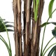GloboStar® Artificial Garden BROADLEAF LADY PALM TREE 20384 Τεχνητό Διακοσμητικό Φυτό Πλατύφυλλος Φοίνικας Μπαμπού Υ300cm GloboStar® Artificial Garden BROADLEAF LADY PALM TREE 20384 Τεχνητό Διακοσμητικό Φυτό Πλατύφυλλος Φοίνικας Μπαμπού Υ300cm