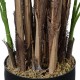 GloboStar® Artificial Garden BROADLEAF LADY PALM TREE 20384 Τεχνητό Διακοσμητικό Φυτό Πλατύφυλλος Φοίνικας Μπαμπού Υ300cm GloboStar® Artificial Garden BROADLEAF LADY PALM TREE 20384 Τεχνητό Διακοσμητικό Φυτό Πλατύφυλλος Φοίνικας Μπαμπού Υ300cm