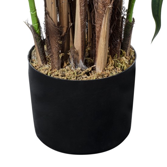 GloboStar® Artificial Garden BROADLEAF LADY PALM TREE 20384 Τεχνητό Διακοσμητικό Φυτό Πλατύφυλλος Φοίνικας Μπαμπού Υ300cm GloboStar® Artificial Garden BROADLEAF LADY PALM TREE 20384 Τεχνητό Διακοσμητικό Φυτό Πλατύφυλλος Φοίνικας Μπαμπού Υ300cm