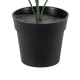 GloboStar® Artificial Garden BUXUS 20388 Τεχνητό Διακοσμητικό Φυτό Πυξός Υ30cm