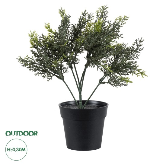 GloboStar® Artificial Garden LEMON CYPRESS 20389 Τεχνητό Διακοσμητικό Φυτό Λεμονόκυπάρισσο Υ30cm GloboStar® Artificial Garden LEMON CYPRESS 20389 Τεχνητό Διακοσμητικό Φυτό Λεμονόκυπάρισσο Υ30cm