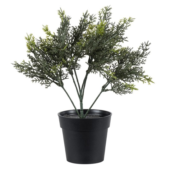 GloboStar® Artificial Garden LEMON CYPRESS 20389 Τεχνητό Διακοσμητικό Φυτό Λεμονόκυπάρισσο Υ30cm GloboStar® Artificial Garden LEMON CYPRESS 20389 Τεχνητό Διακοσμητικό Φυτό Λεμονόκυπάρισσο Υ30cm