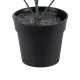 GloboStar® Artificial Garden LEMON CYPRESS 20389 Τεχνητό Διακοσμητικό Φυτό Λεμονόκυπάρισσο Υ30cm GloboStar® Artificial Garden LEMON CYPRESS 20389 Τεχνητό Διακοσμητικό Φυτό Λεμονόκυπάρισσο Υ30cm