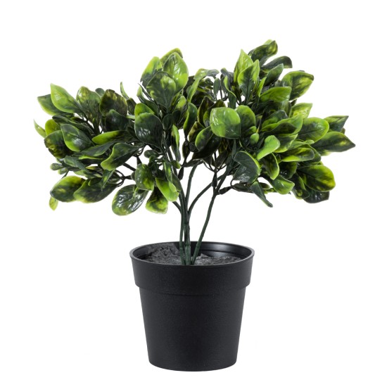 GloboStar® Artificial Garden ANUBIA BARTERI 20390 Τεχνητό Διακοσμητικό Φυτό Ανούμπια Υ30cm GloboStar® Artificial Garden ANUBIA BARTERI 20390 Τεχνητό Διακοσμητικό Φυτό Ανούμπια Υ30cm