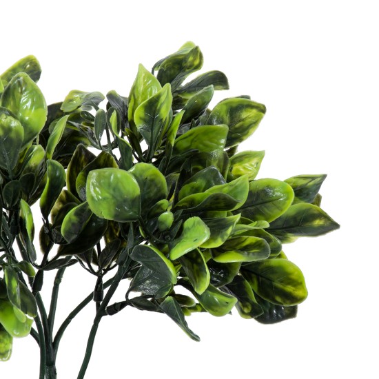 GloboStar® Artificial Garden ANUBIA BARTERI 20390 Τεχνητό Διακοσμητικό Φυτό Ανούμπια Υ30cm GloboStar® Artificial Garden ANUBIA BARTERI 20390 Τεχνητό Διακοσμητικό Φυτό Ανούμπια Υ30cm